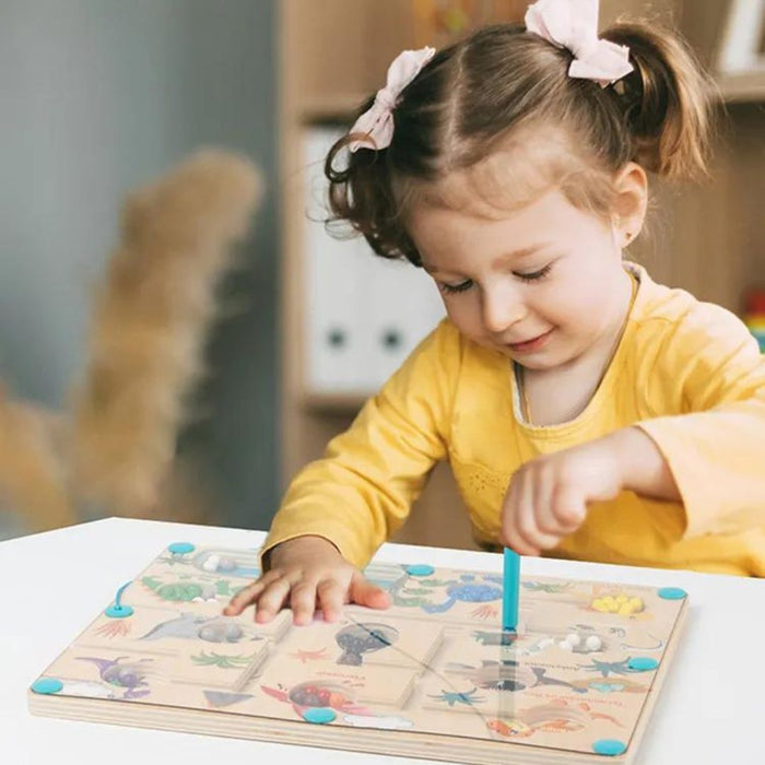 Educatieve Magnetische Dinosaurussen Doolhof - Leer Kleuren en Tellen