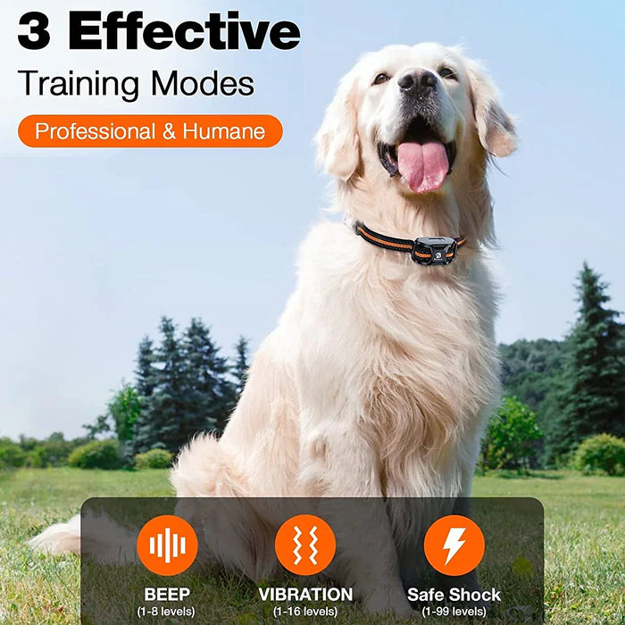 Maximale Controle Trainingshalsband - Voor Effectieve Training